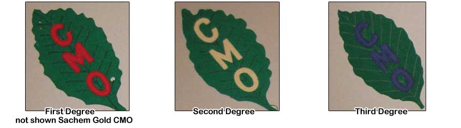 Mystic Oak Degree Patches